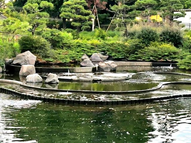 Budget-Friendly Escape at Shinagawa Kumin Park Budget-Friendly Escape at Shinagawa Kumin Park