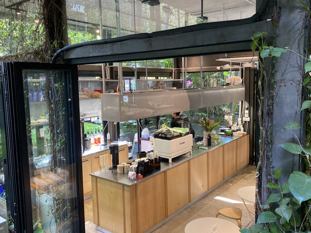 The Botanist Café: Where Plants and People Mingle Over Coffee The Botanist Café: Where Plants and People Mingle Over Coffee