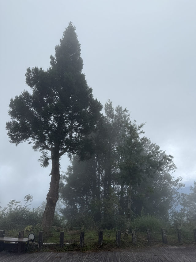 太平山森林遊樂區
