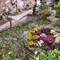 🌷横浜公園のチューリップと近場観光の組み合わせプラン