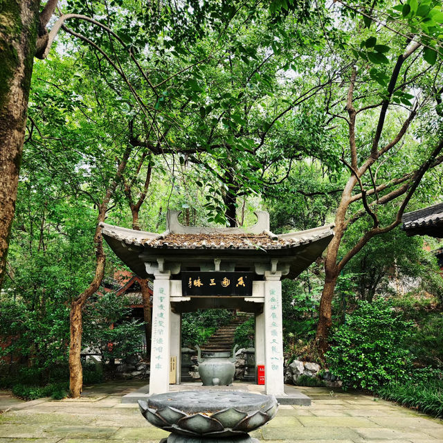 寺院樹影中的靜謐時光  