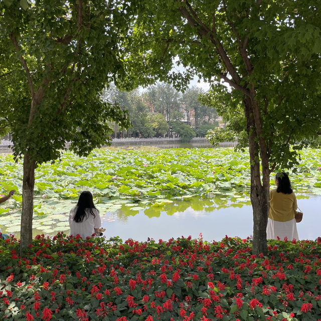 쿤밍의 작은 보석, 취호공원(翠湖公园) 산책기 쿤밍의 작은 보석, 취호공원(翠湖公园) 산책기