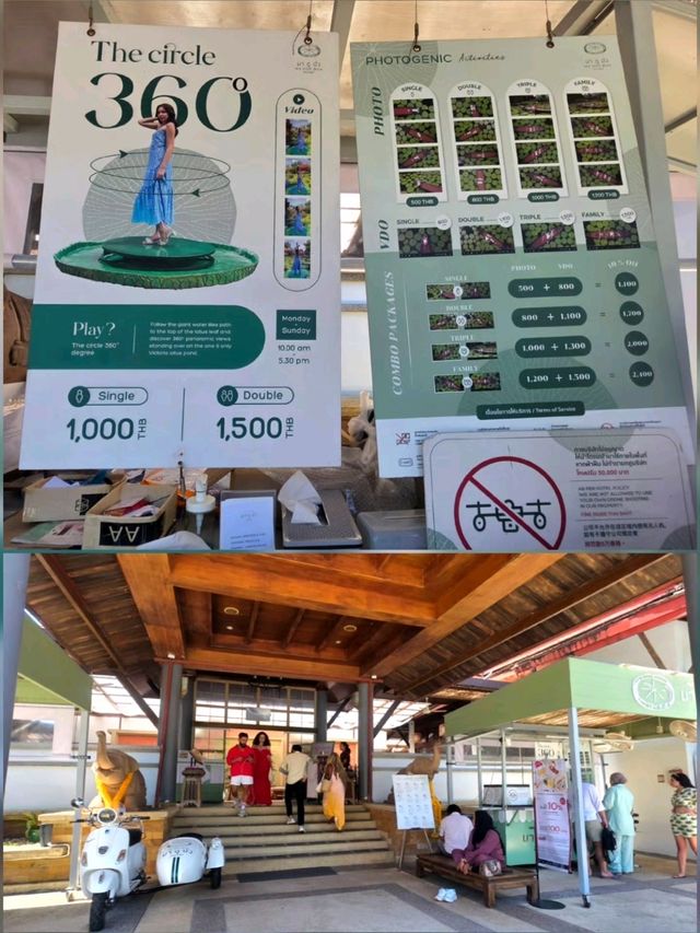 泰國布吉人氣航拍✨️ Café☕️ 絕美荷花池《Ma Doo Bua 》