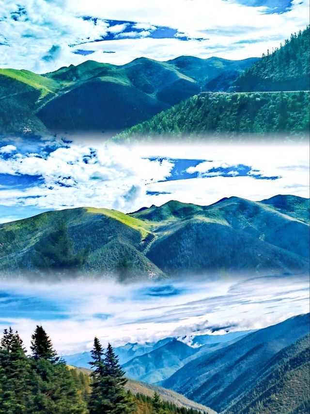 公路美景 • 國道318、S216、S217 公路美景 • 國道318、S216、S217