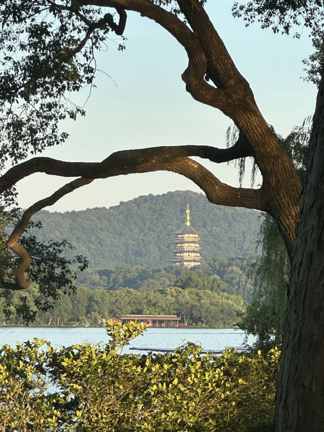 🇨🇳Fan in Hand, Breeze on My Face: West Lake Moments