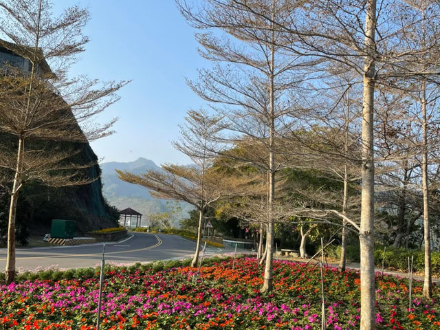 曾文水庫風景區旅遊全攻略｜湖光山色與原住民文化體驗