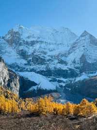 Autumn in A’ding, Daocheng – Chengdu 🍁