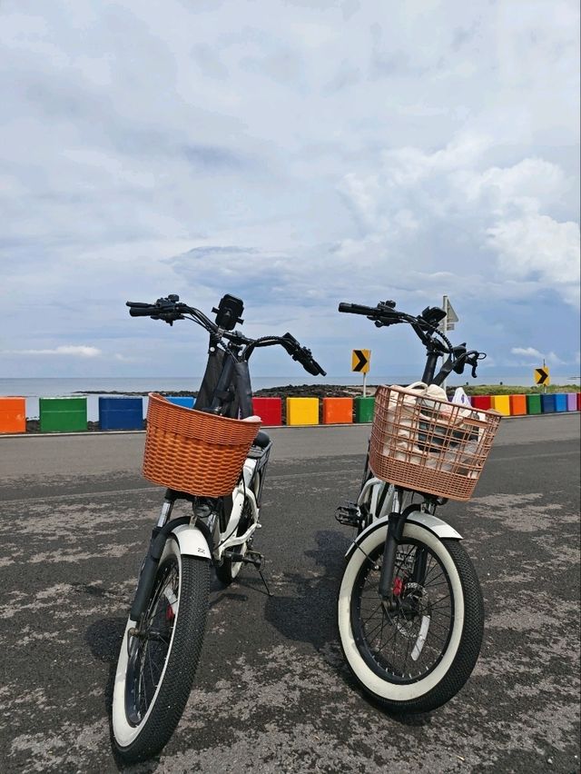 牛島單車遊