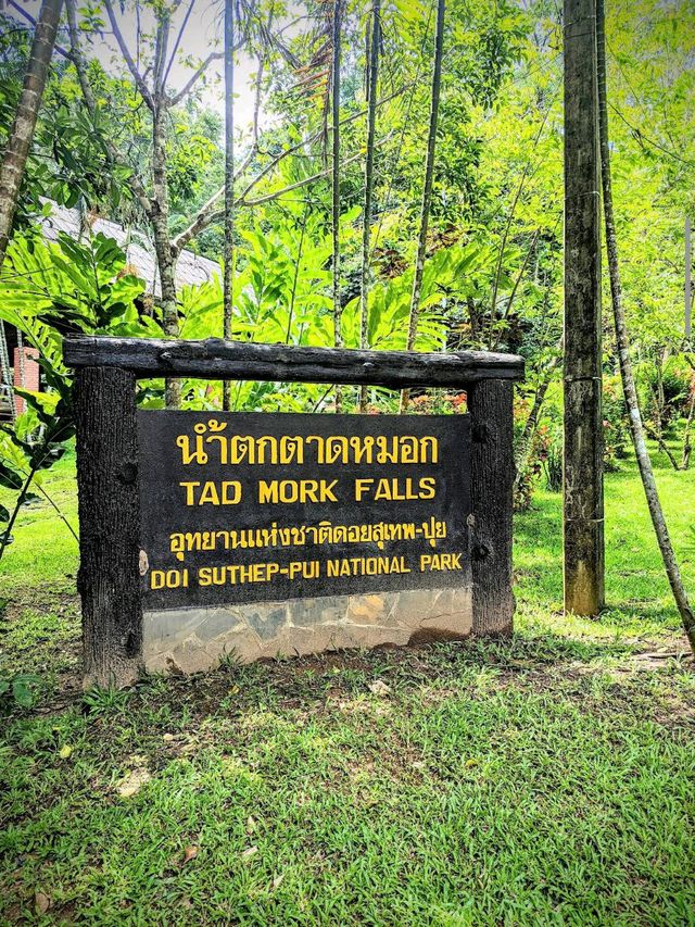 น้ำตกตาดหมอก (แม่ริม เชียงใหม่) 🏞️