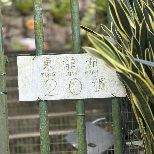 探索香港特色島嶼