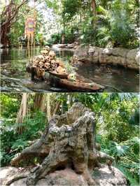 ล่องเรือไปกับ Jungle River Cruise🚣