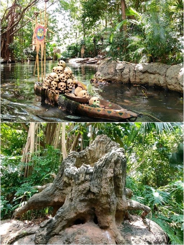 ล่องเรือไปกับ Jungle River Cruise🚣 ล่องเรือไปกับ Jungle River Cruise🚣