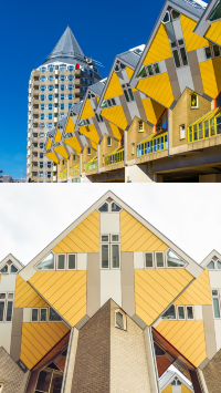 เนเธอร์แลนด์…ดินแดนแห่งกังหันลม ทุ่งดอกไม้