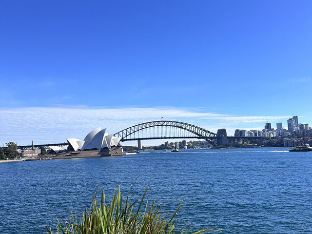 Strolling Sydney: City Walks, Sunshine & Spectacular Evenings 🌞🌆 Strolling Sydney: City Walks, Sunshine & Spectacular Evenings 🌞🌆