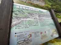 🌋 Xiaoyoukeng – The Volcanic Heart of Yangmingshan 🌿