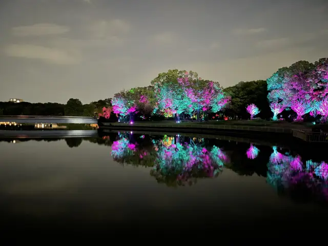 Summer Magic in Osaka — 3 Nights of Light, Art & Hidden Corners