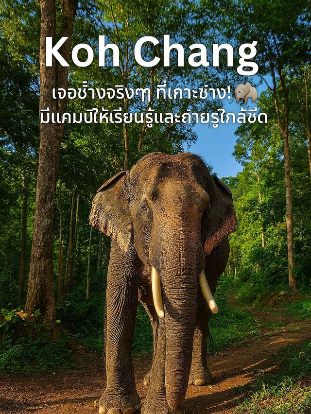  Koh Chang @Trat