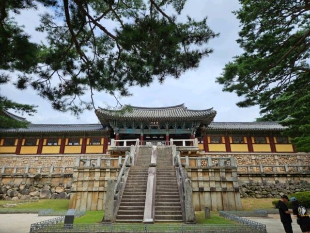 가을 단풍이 예쁜 경주 불국사 여행 🍁