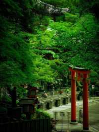 🌿🏯 Reizan-ji Temple – A Green Gem in the Heart of Nara 🌸🌿