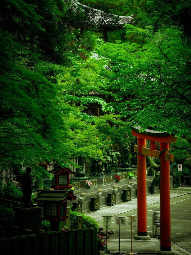 🌿🏯 Reizan-ji Temple – A Green Gem in the Heart of Nara 🌸🌿