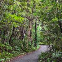 熊野古道中邊路徒步之旅