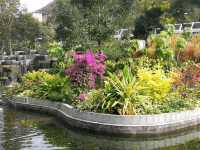 城市綠洲午後悠閒漫步｜坑口文曲里公園