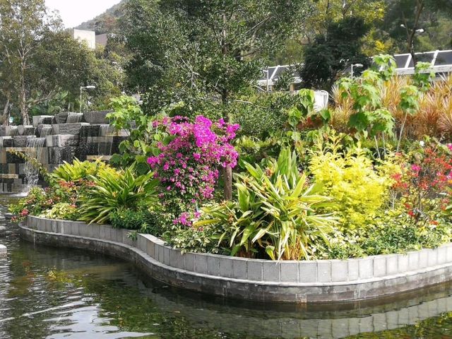 城市綠洲午後悠閒漫步｜坑口文曲里公園