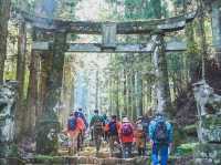 Forest Therapy on Mt. Kubote - Embrace Nature With All Five Senses