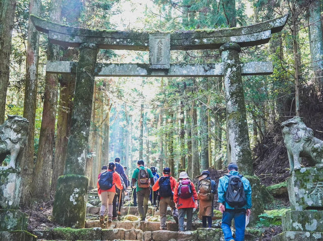 Forest Therapy on Mt. Kubote - Embrace Nature With All Five Senses