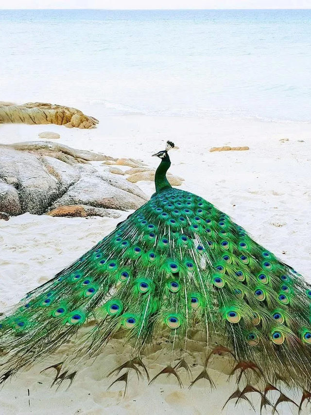 🏝️🇹🇭 เกาะส่วนตัวในไทย | เงียบสงบยิ่งกว่ามัลดีฟส์