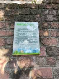 Huangjueya Old Street: An Old Dream of the Mountain City