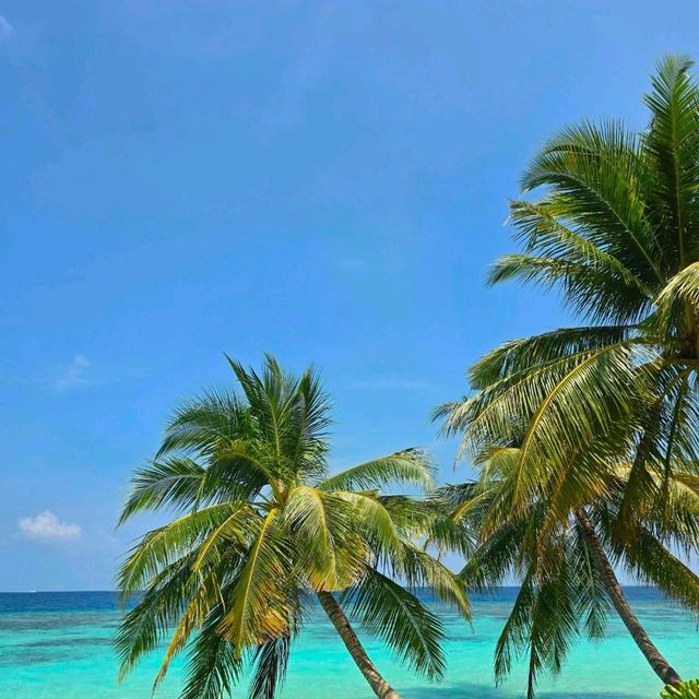 Autumn Dreams in the Maldives