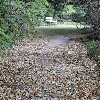 Arboretum Kalmthout