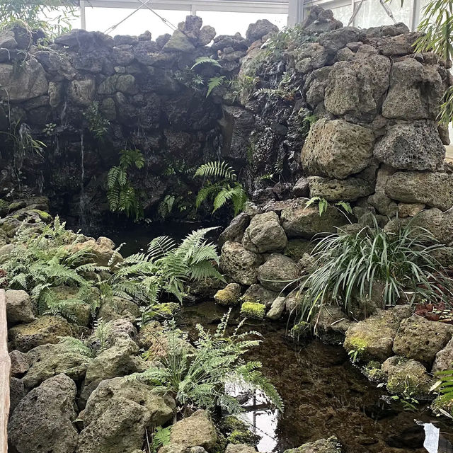 Halla Arboretum, Jeju Island,S.Korea