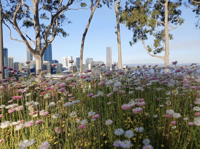 Kings Park and Botanic Garden