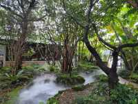 วอนนภา คาเฟ่ ชลบุรี: หลุดไปในป่าลับแลสุดร่มรื่น