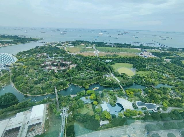 濱海灣金沙的價值? 濱海灣金沙的價值?