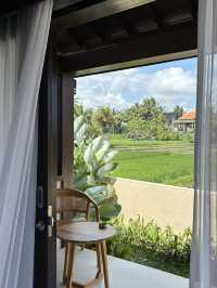 HOTEL MURAH UBUD BALI