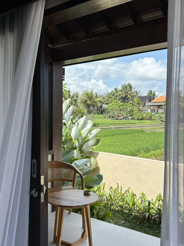 HOTEL MURAH UBUD BALI
