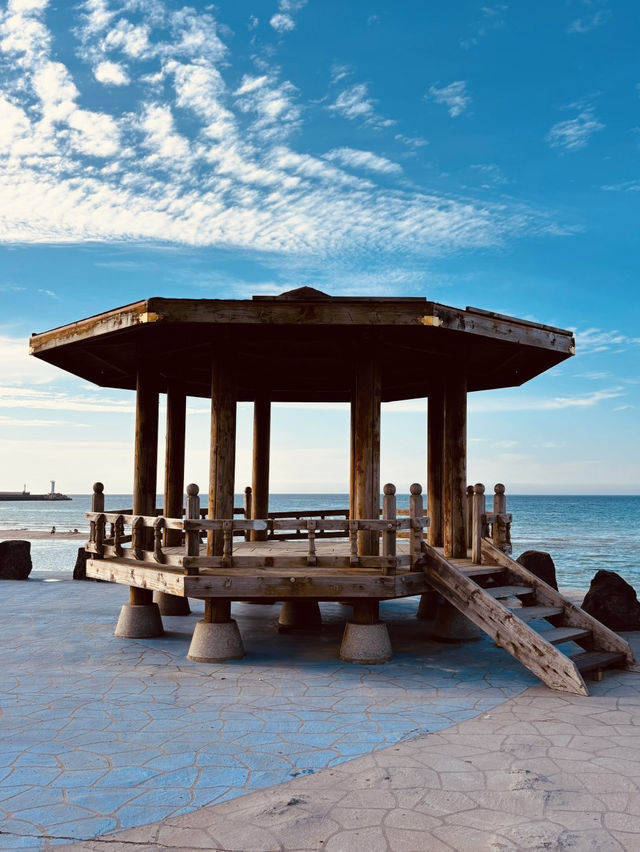 Seaside Perfection✨