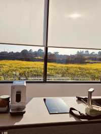 Panoramic, Frame-Worthy Vistas