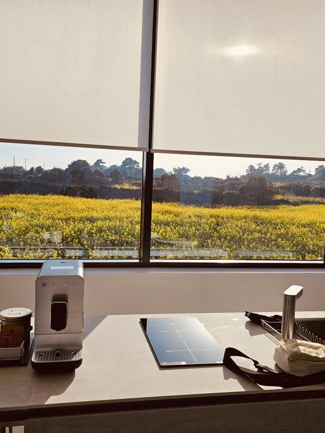 Panoramic, Frame-Worthy Vistas