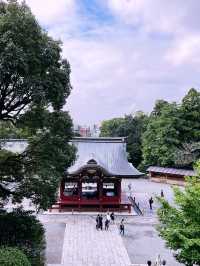Tsurugaoka Hachimangu Shrine: A Majestic Blend of History, Architecture, and Serenity 