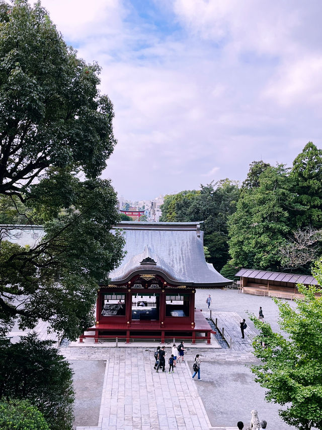 Tsurugaoka Hachimangu Shrine: A Majestic Blend of History, Architecture, and Serenity 