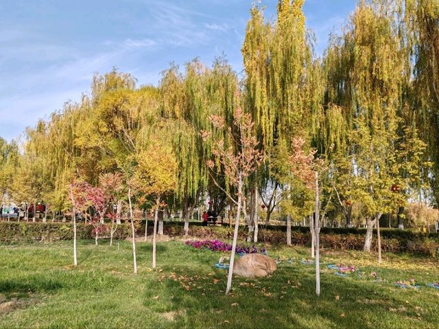 The Charm of a Water Town in Autumn