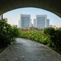 A Peaceful Day Walk in Ganzhou Central Park 🌿☀️🏞️