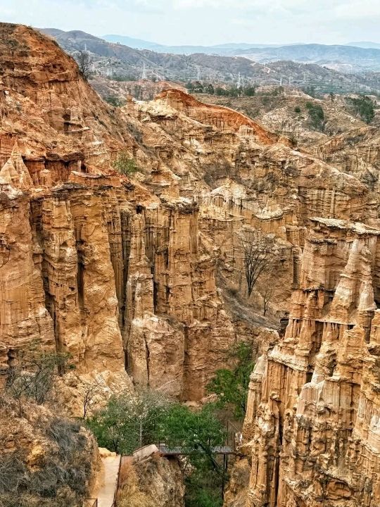 Stone forest Stone forest