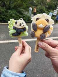 Panda Valley (Good Alternative to Chengdu Research Base of Giant Panda Breeding)