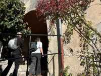 ニースからバスで30分！エズ村魅力ご紹介🦅⛰️🌹