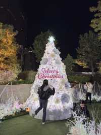 근교까지 알차게 돌아보는 나고야